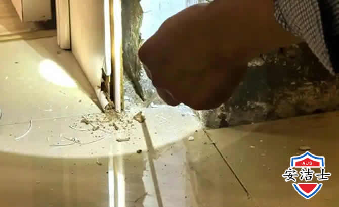 秀洲区房屋建筑防治白蚁