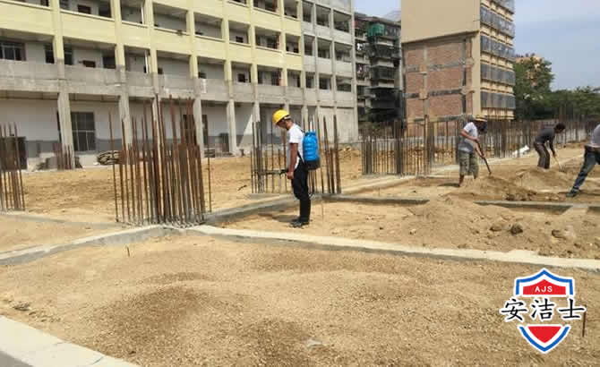 秀洲区学校机关防治白蚁