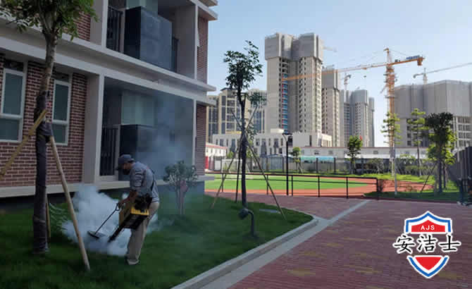 秀洲区工厂工地除白蚁