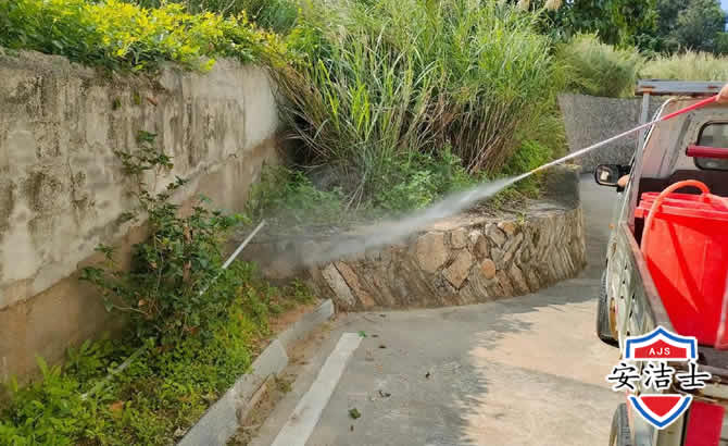 秀洲区道路堤坝白蚁防治