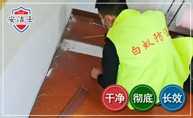 秀洲区除四害现场