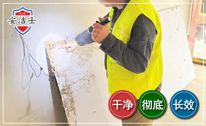 秀洲区除白蚁现场