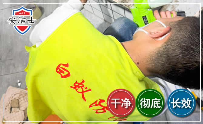 秀洲区白蚁根治现场